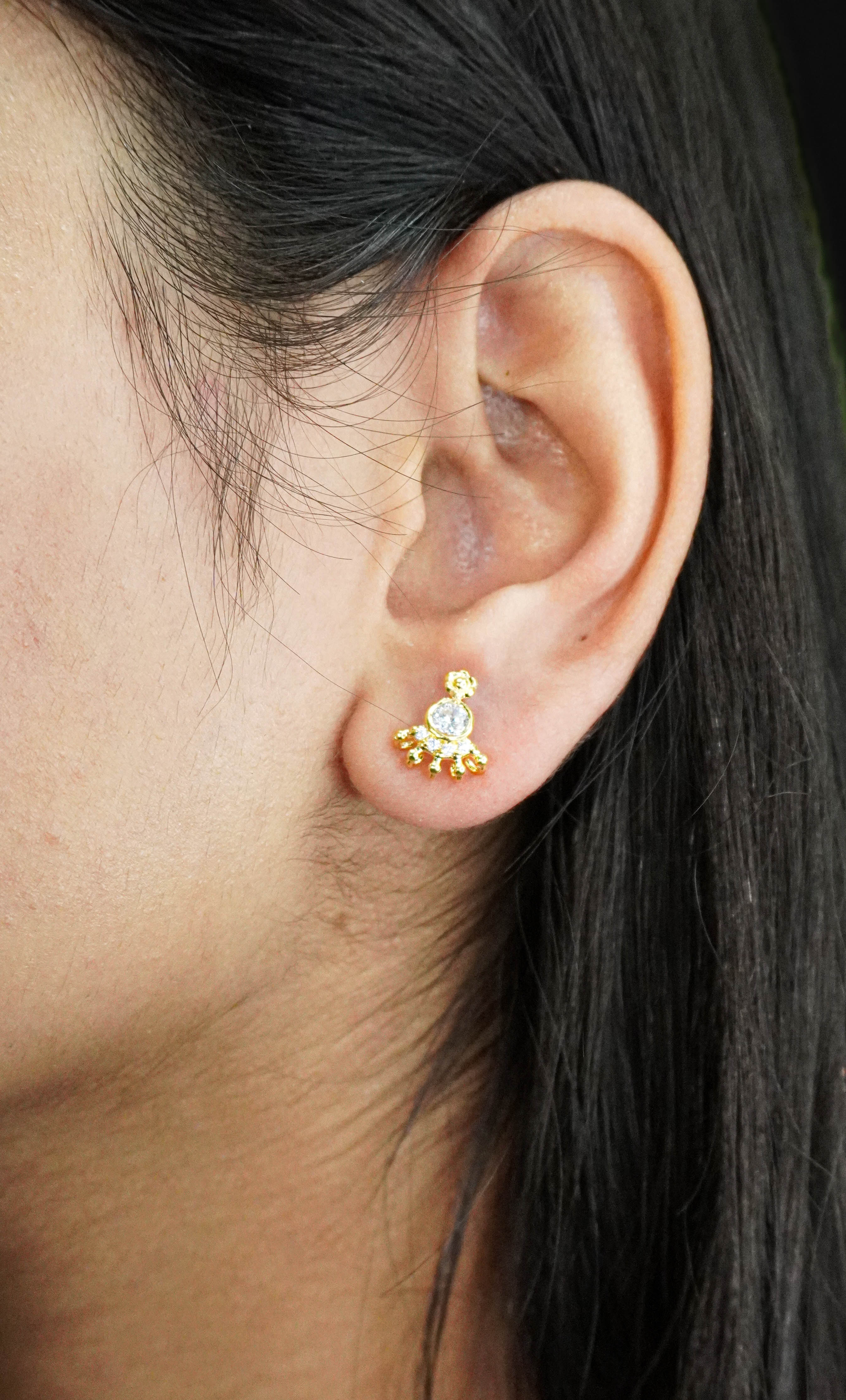 Classic Shiny Earrings